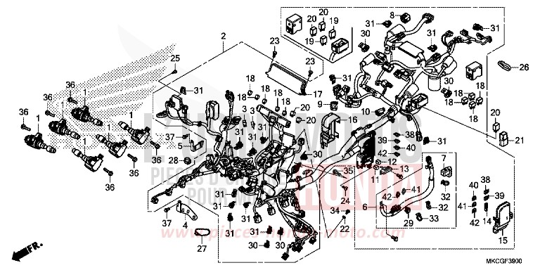 WIRE HARNESS for Gold Wing CANDY ARDENT RED (R367B) from 2020